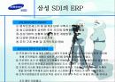 삼성 SDI의 ERP 17페이지