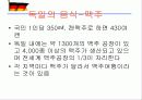 독일 음식문화(A+레포트) 19페이지