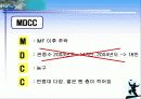 한국배구의 활성화방안 11페이지