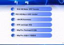 국내,국외 3대 ERP major vender 조사 및 분석 2페이지