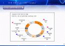 국내,국외 3대 ERP major vender 조사 및 분석 3페이지
