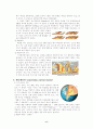 판구조론 8페이지