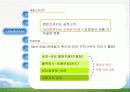빙그레 빙과류 유통구조 환경변화 마케팅 10페이지