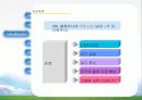 빙그레 빙과류 유통구조 환경변화 마케팅 11페이지