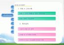 빙그레 빙과류 유통구조 환경변화 마케팅 14페이지