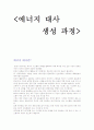 생물학개론 - 에너지 대사 생성과정 1페이지