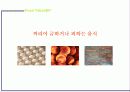 금기해야할 음식들 3페이지