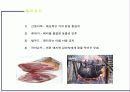 금기해야할 음식들 7페이지
