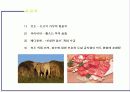 금기해야할 음식들 8페이지