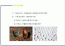 금기해야할 음식들 9페이지