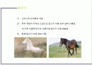 금기해야할 음식들 10페이지