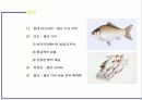 금기해야할 음식들 13페이지