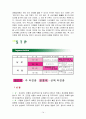 [마케팅전략]크리스피 크림 도넛 마케팅전략 성공사례 15페이지