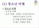 청소년 문제와 그 실태 및 현황 3페이지