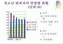 청소년 문제와 그 실태 및 현황 5페이지