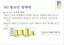 청소년 문제와 그 실태 및 현황 37페이지