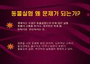 동물실험 및 동물사육에 대한 이해와 윤리적 쟁점에 대한 분석, 해결방안 8페이지