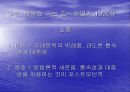 포스트모더니즘론 23페이지