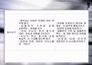입양의 장단점과 개선방향 12페이지