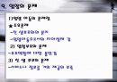 입양의 장단점과 개선방향 17페이지