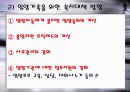 입양의 장단점과 개선방향 19페이지