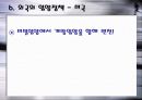 입양의 장단점과 개선방향 26페이지