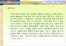 우리사회의여성성적소수자 2페이지