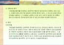 우리사회의여성성적소수자 3페이지