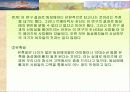 우리사회의여성성적소수자 4페이지