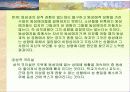 우리사회의여성성적소수자 5페이지