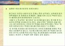 우리사회의여성성적소수자 10페이지