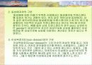 우리사회의여성성적소수자 13페이지