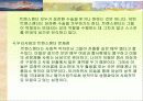 우리사회의여성성적소수자 15페이지