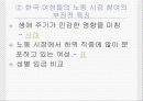여성의 노동과 성불평등 성차별 평등한 노동을 위하여 8페이지
