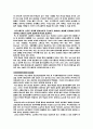 [분석/조사] 테마파크  7페이지