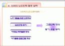 노인노동력 활용 방안 17페이지