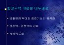 지방 행정체제 개편에 관한 논의- 축소개편 및 단층제 개편을 중심으로 - 3페이지
