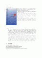식물 색소 분리 9페이지