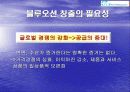 블루오션 전략 4페이지