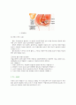 최신 피임법과 피임법의 종류 4페이지