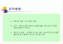 [광고기획]VB프로그램의 성공적인 광고전략기획서(설문조사포함) 19페이지