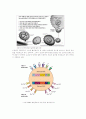 유전자 치료(Human Gene Transfer) 11페이지