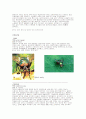 유시아강(Pteygota) 파리목(Diptera) 15페이지