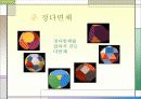 영화 속의 수학 15페이지