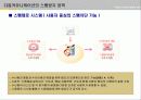 [e비지니스]스팸이 인터넷산업에 미치는 영향 분석-Daum E-mail을 중심으로 17페이지