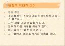 문제행동지도방안 3페이지