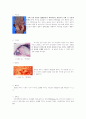 담배, 술, 마약에 대한 인체의 영향 7페이지
