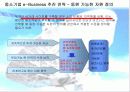 [e비즈니스]오프라인 기업의 e-Business 추진전략과 과제 34페이지