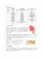 위장관계의 구조와 기능 2페이지