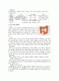 위장관계의 구조와 기능 5페이지